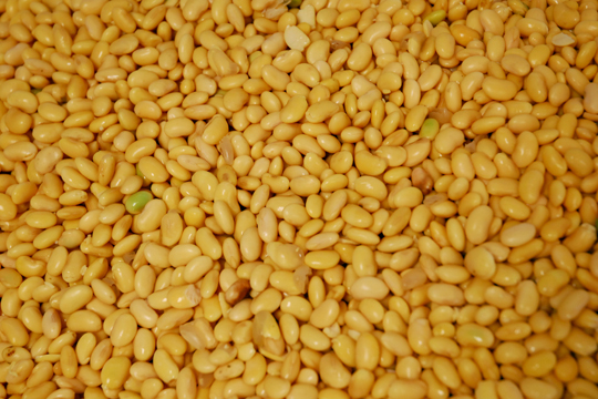 Phoenix Bean exclusively uses non-GMO soybeans naturally farmed in Illinois without chemicals and pesticides.